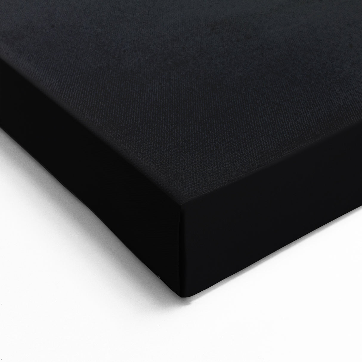 Abstract Whale Wall Art - Black & White Canvas Print - Modern Decor