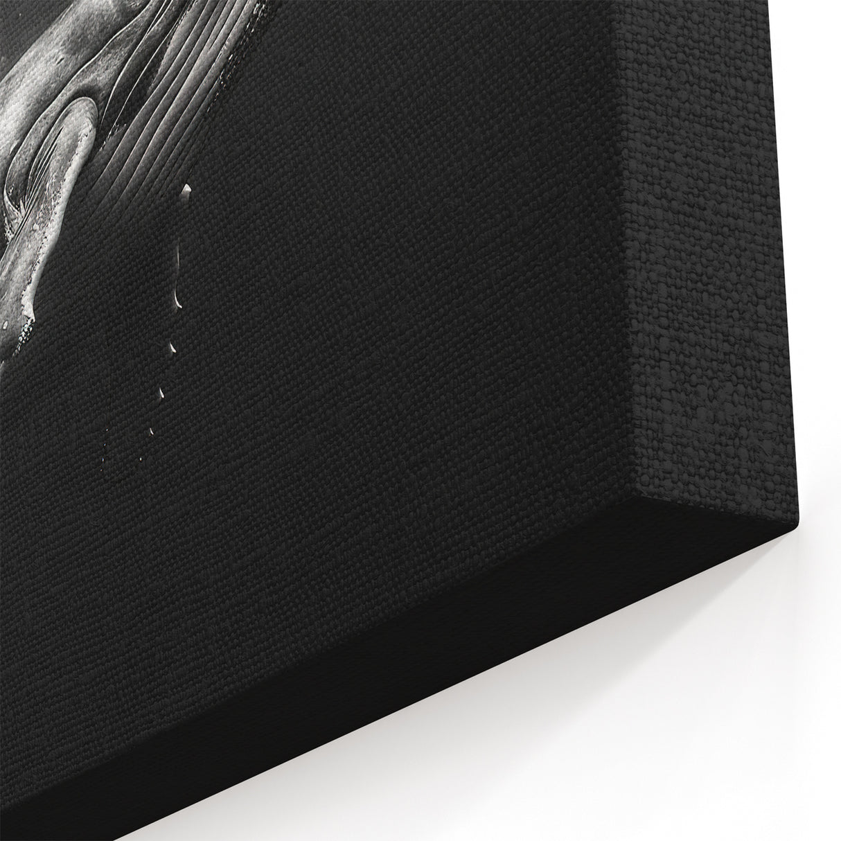 Black and White Whale Art - Underwater Ocean Decor - Canvas & Print