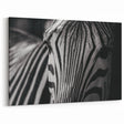 Close-Up Zebra Wall Art - Intimate Black and White Safari Canvas Print