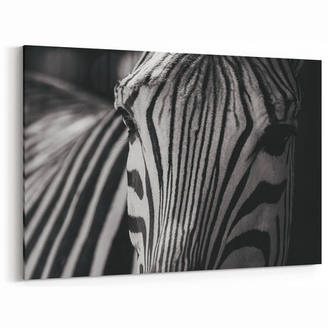Close-Up Zebra Wall Art - Intimate Black and White Safari Canvas Print