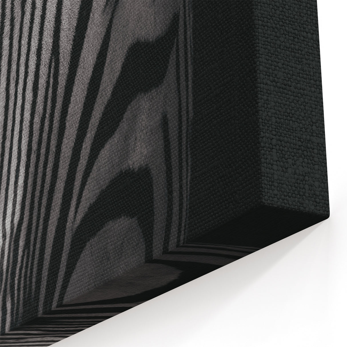 Close-Up Zebra Wall Art - Intimate Black and White Safari Canvas Print