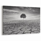 Solitary Tree in Desert - Striking Black and White Desert Wall Art