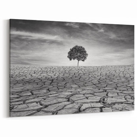 Solitary Tree in Desert - Striking Black and White Desert Wall Art