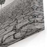 Solitary Tree in Desert - Striking Black and White Desert Wall Art