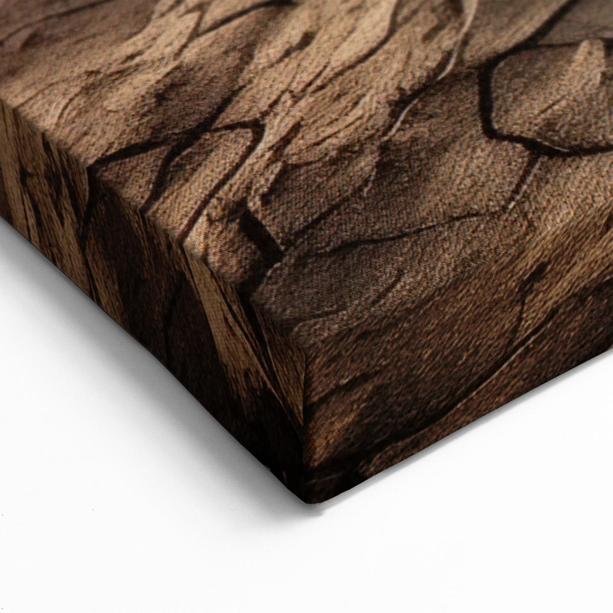 Resilient Desert Tree - Captivating Desert Landscape Canvas Wall Art