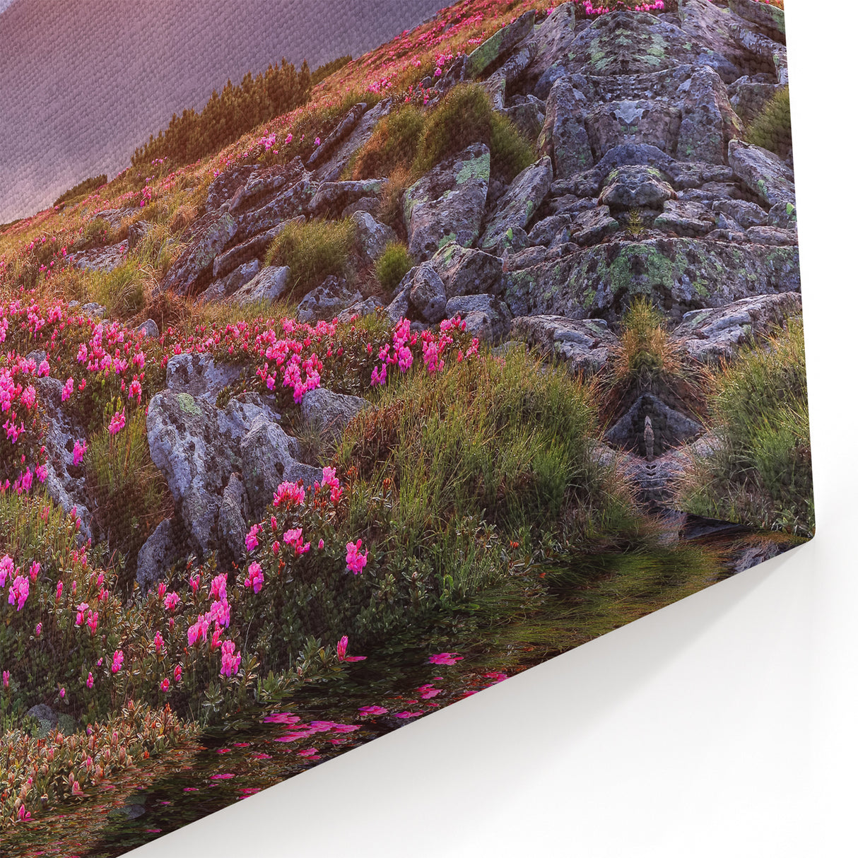 Rolling Fields Canvas Art - Sunset Glow Over Mountainous Countryside