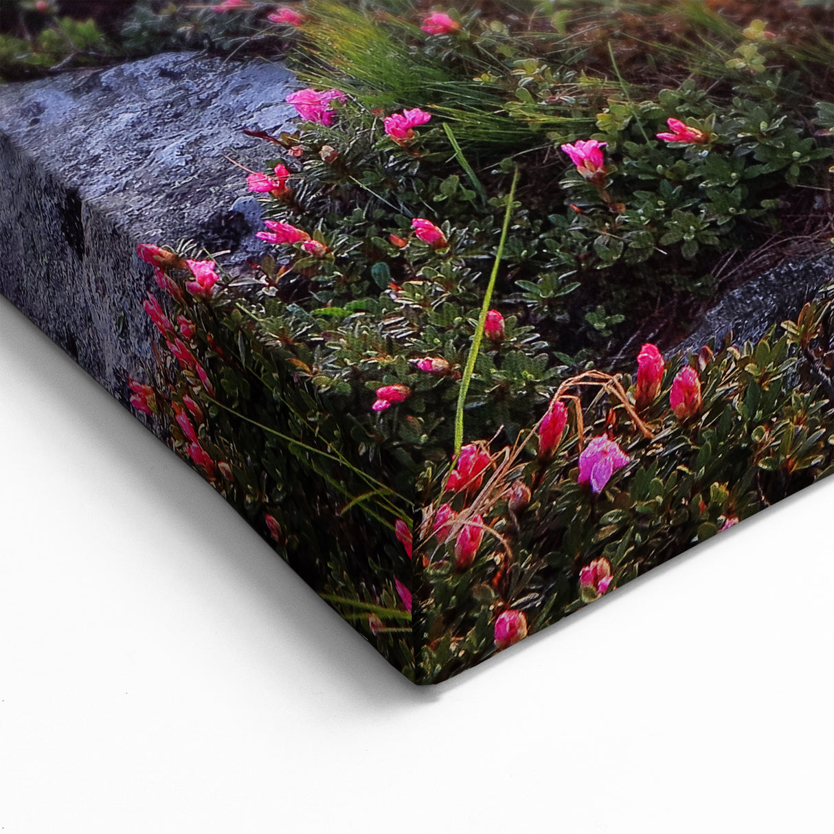 Rolling Fields Canvas Art - Sunset Glow Over Mountainous Countryside