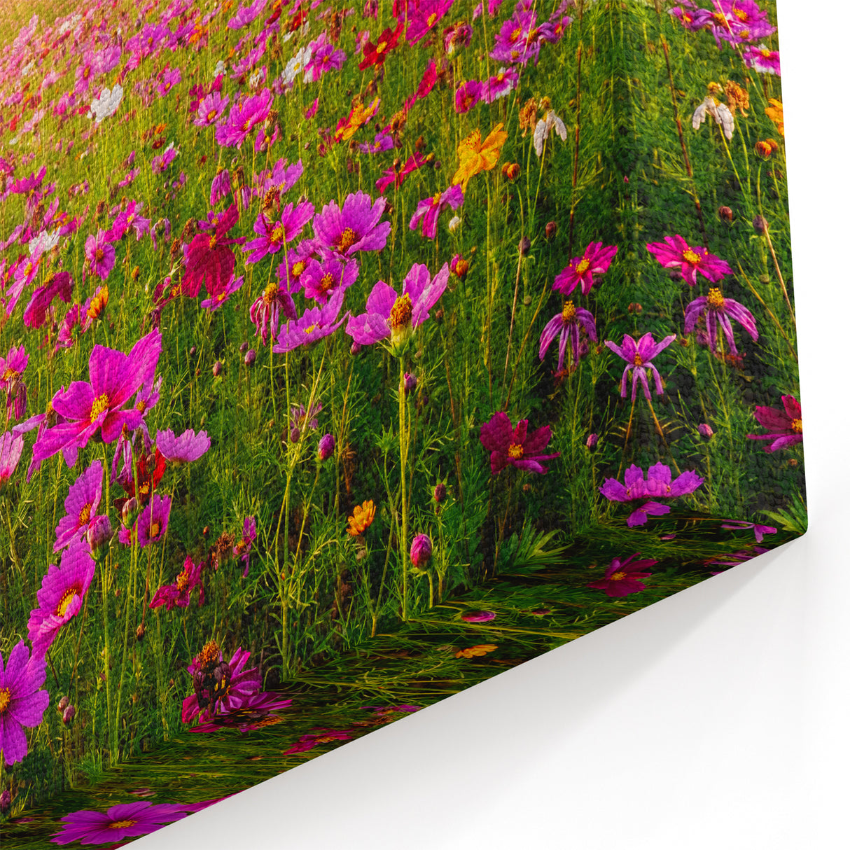Fields Panorama Wall Decor - Vibrant Floral Meadow at Sunset