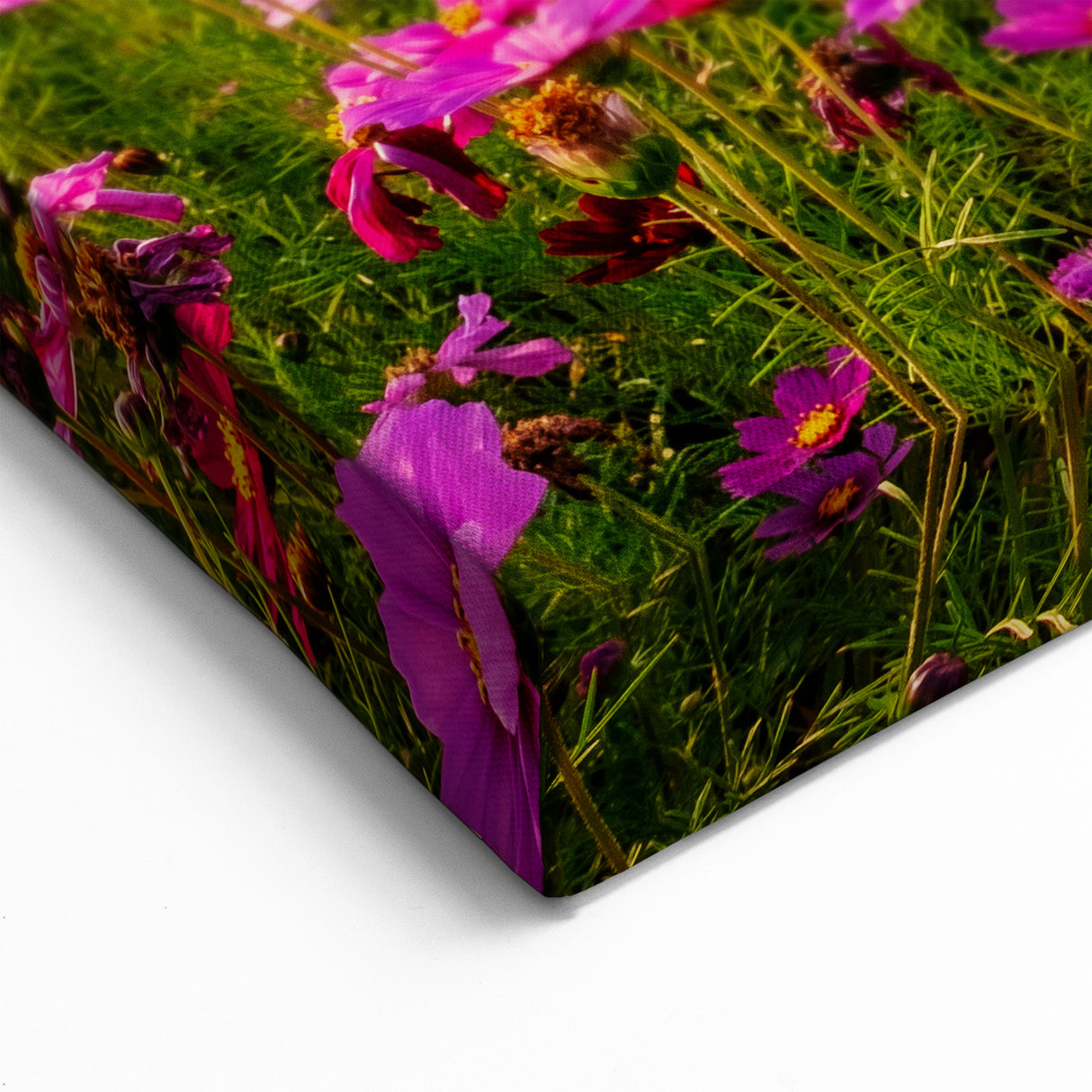 Fields Panorama Wall Decor - Vibrant Floral Meadow at Sunset