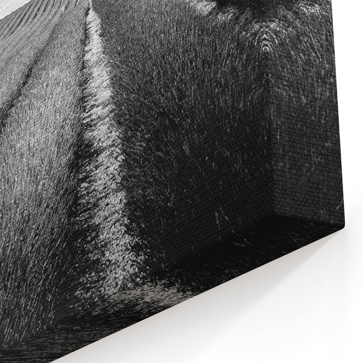 Field Landscape Wall Art - Monochrome Rows in Majestic Countryside