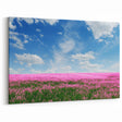 Rolling Fields Canvas Art - Pink Flower Field Under Bright Blue Sky