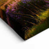 Fields Panorama Wall Decor - Golden Sunset Over Rolling Hills
