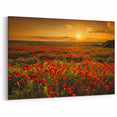 Fields Landscape Acrylic Prints - Golden Sunset Over Red Poppy Fields