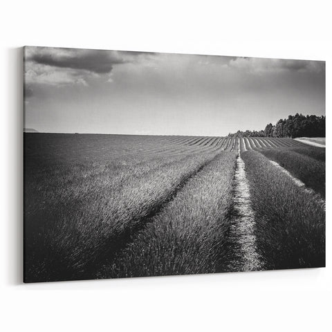 Field Landscape Wall Art - Black and White Fields Panorama Decor
