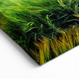 Fields Panorama Wall Decor - Vibrant Rainbow Over Lush Green Landscape