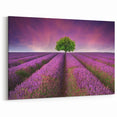 Fields Landscape Acrylic Prints - Lavender Fields with Tree at Sunset
