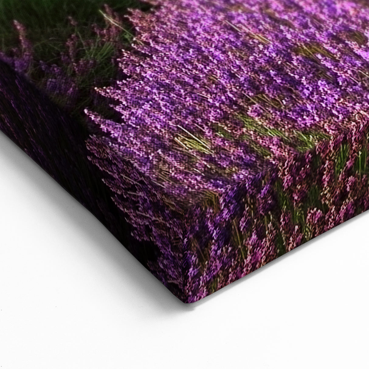 Fields Landscape Acrylic Prints - Lavender Fields with Tree at Sunset