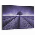 Fields Landscape Acrylic Prints - Monochrome Lavender Field with Tree