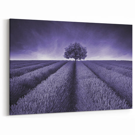 Fields Landscape Acrylic Prints - Monochrome Lavender Field with Tree