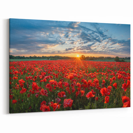 Countryside Fields Wall Hanging - Vibrant Poppy Field at Sunset Canvas
