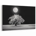 Night Tree Wall Art - Monochrome Tree Under Full Moon Landscape Canvas
