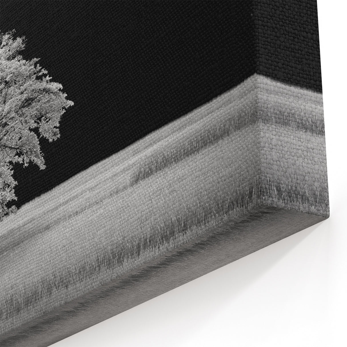 Night Tree Wall Art - Monochrome Tree Under Full Moon Landscape Canvas