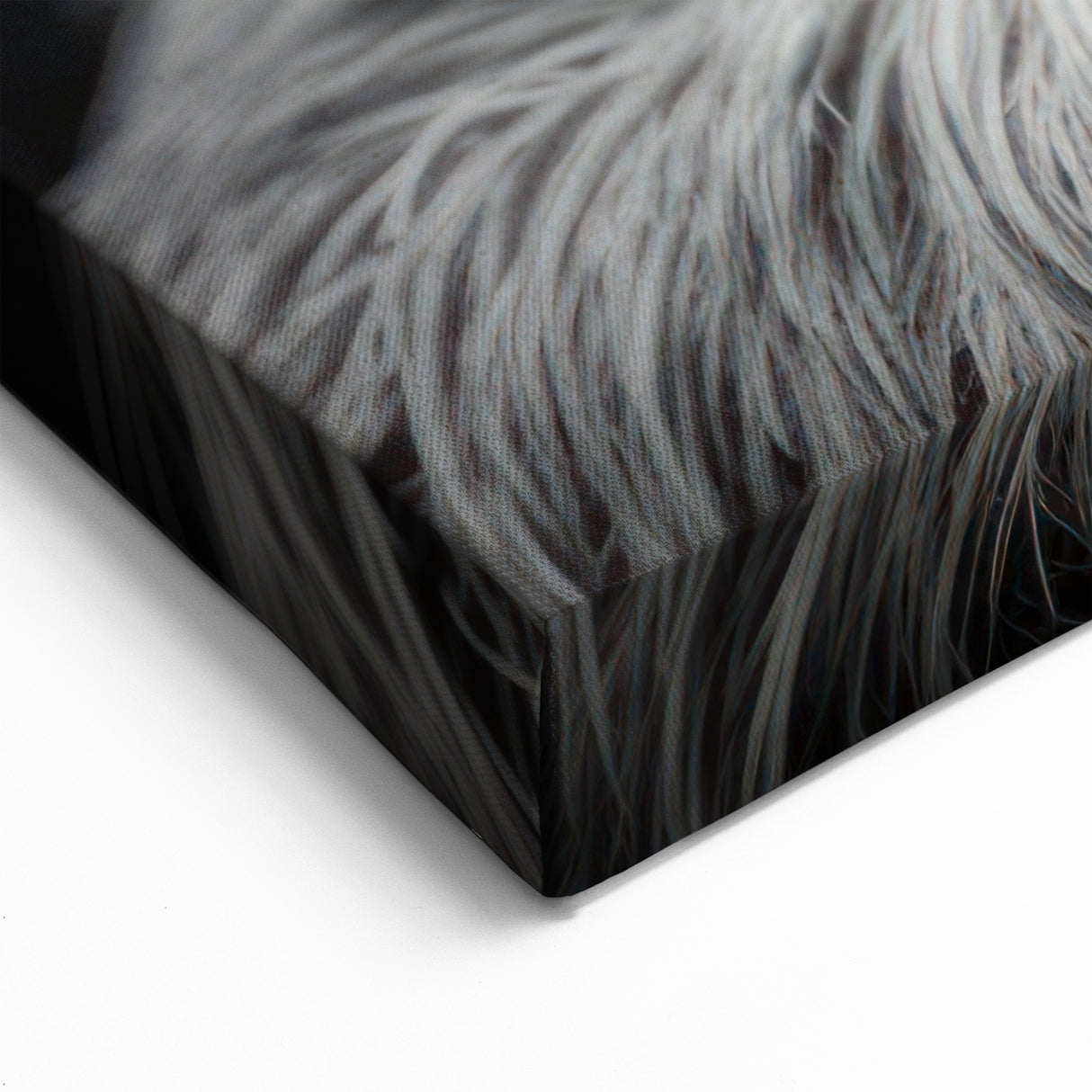 Dramatic Sloth Black & White Art - Modern Monochrome Wall Decor