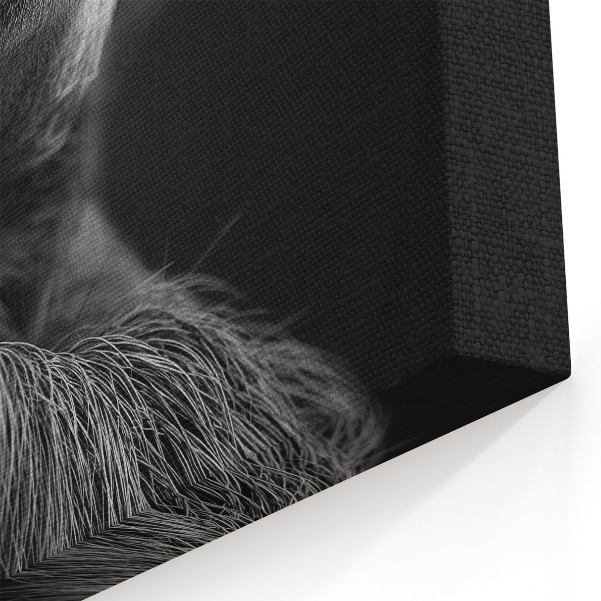 Intense Sloth Black & White Art - Bold Monochrome Wall Decor