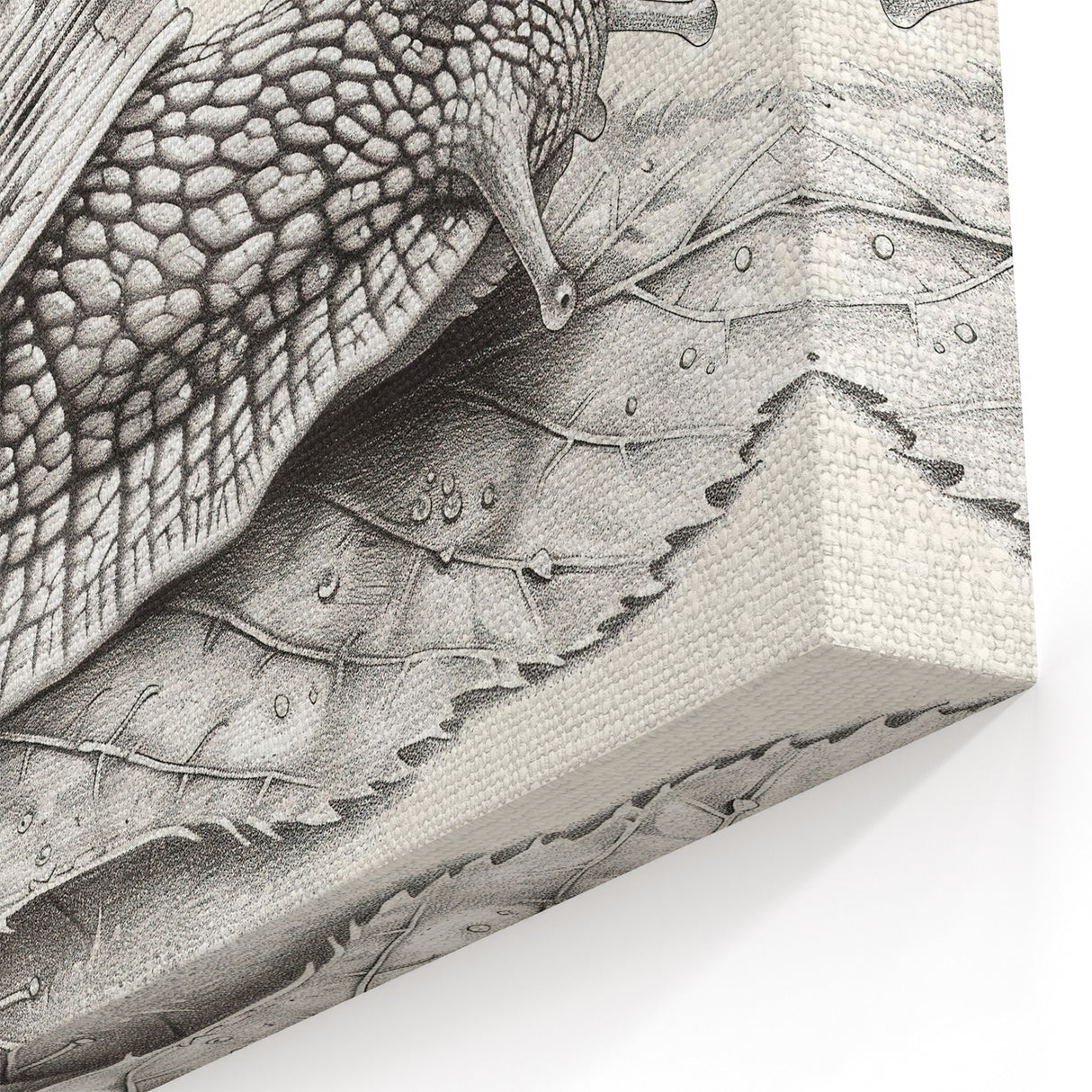 Monochrome Snail Wall Art - Intricate Line Drawing on Canvas & Prints