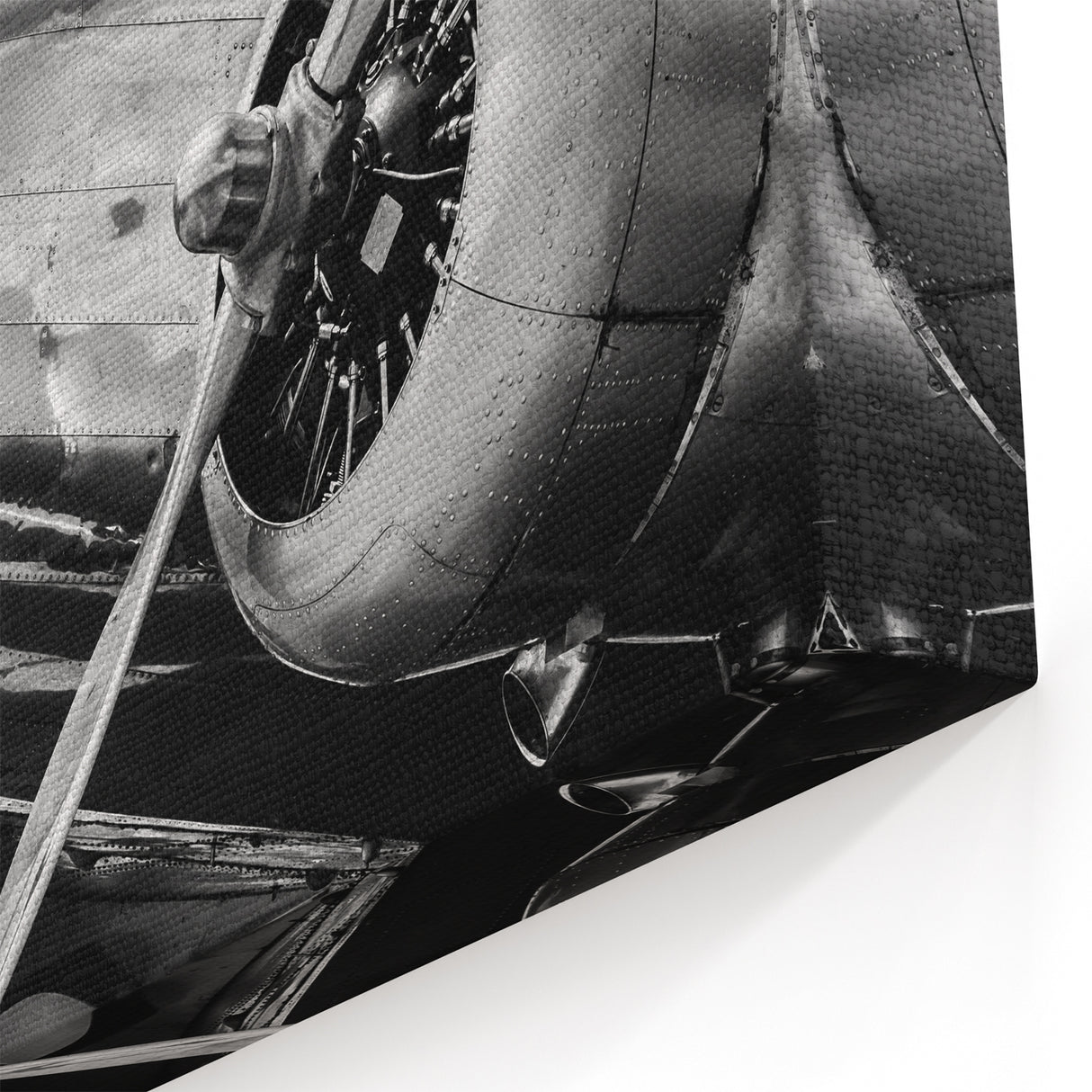 Vintage Aircraft Close-Up - Striking Black and White Aviation Art