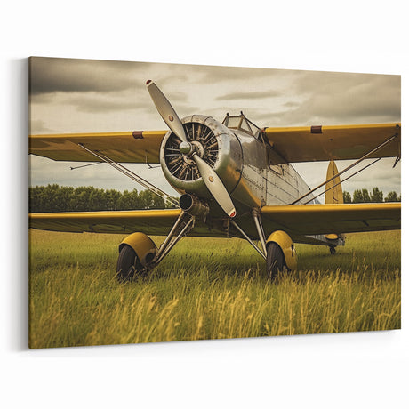 Vintage Biplane in Field - Rustic Aviation Wall Decor for Home