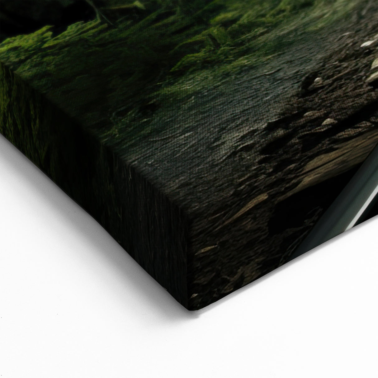 Forest Railway Wall Art - Scenic Green Landscape on Canvas and Prints