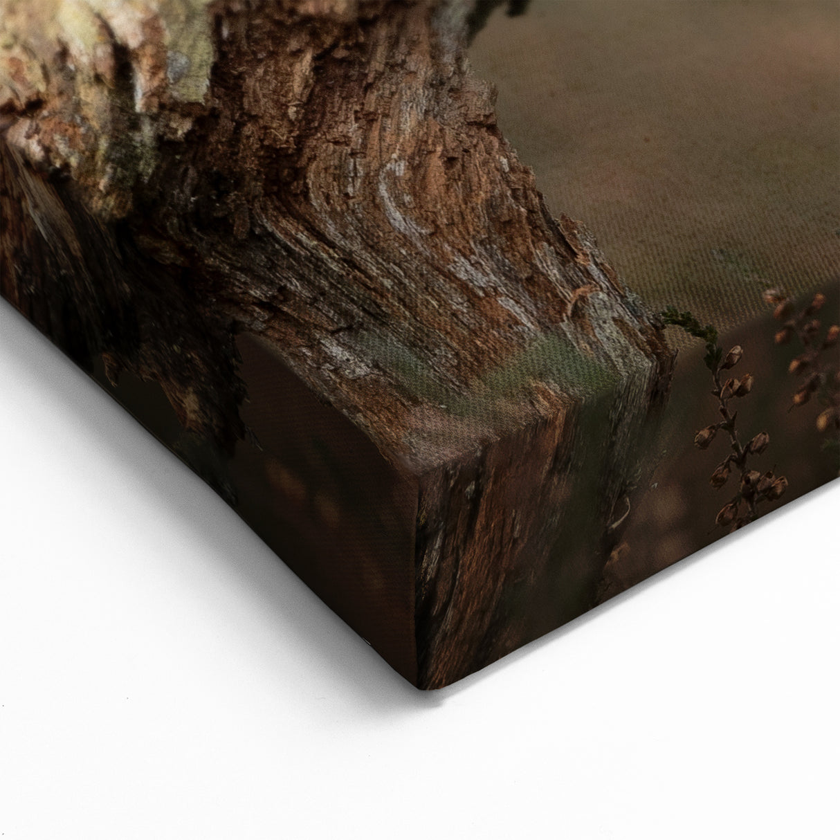 Charming Squirrel Wall Art on Canvas - Woodland Wildlife Decor