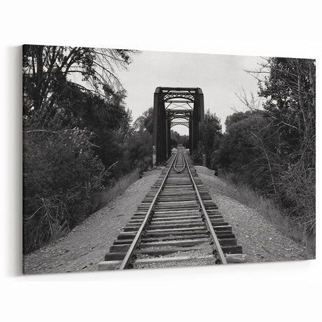 Railway Bridge in Nature Wall Art - Black and White Scenic Photography