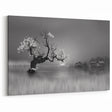 Ethereal Black and White Lake Art - Serene Tree and Water Photography