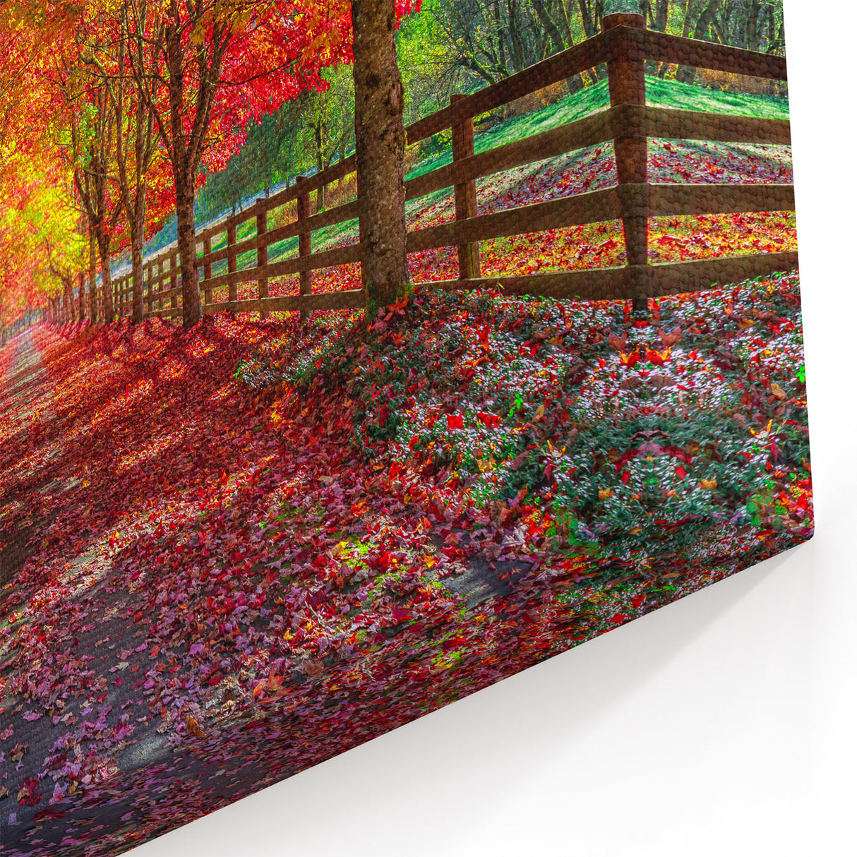 Vibrant Tree Wall Art - Autumn Pathway Landscape Canvas Print