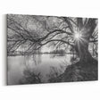 Black and White Lake Tree Wall Art - Dramatic Sunburst Landscape Print
