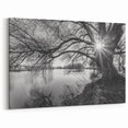 Black and White Lake Tree Wall Art - Dramatic Sunburst Landscape Print