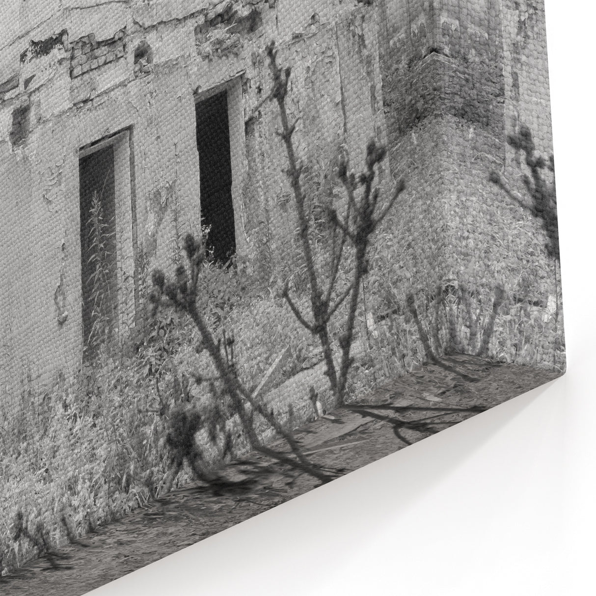 Black & White Derelict House Art - Abandoned Rural Architecture Print
