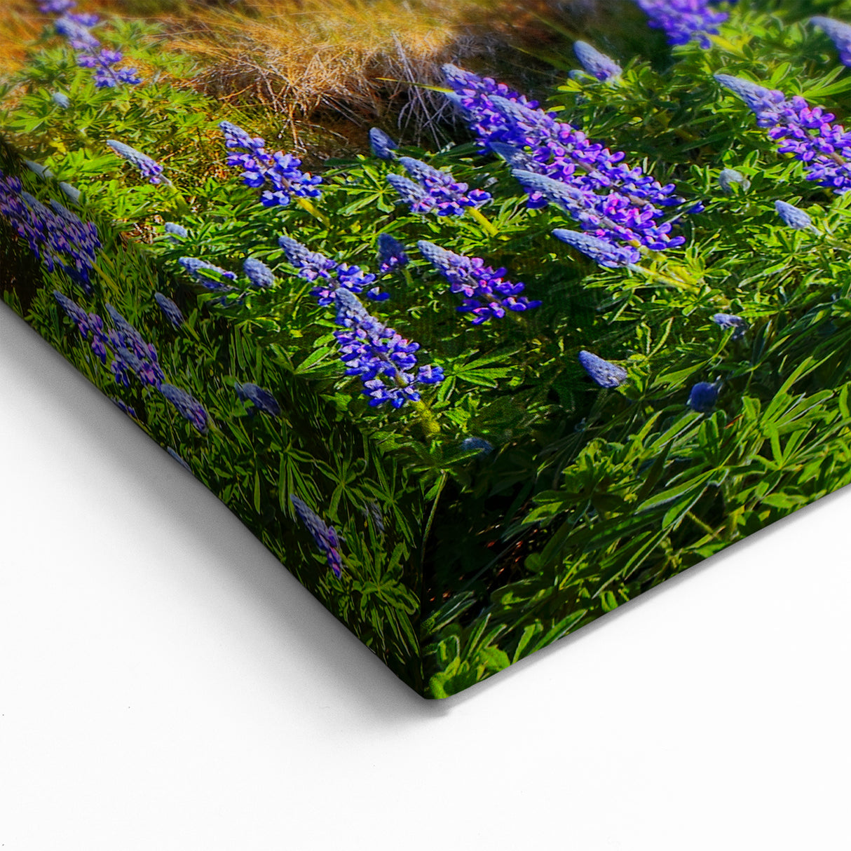 Countryside Wall Art - Vibrant Mountain Landscape Canvas Print