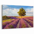 Countryside Wall Art - Lavender Field with Tree Landscape Canvas