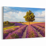 Countryside Wall Art - Lavender Field with Tree Landscape Canvas