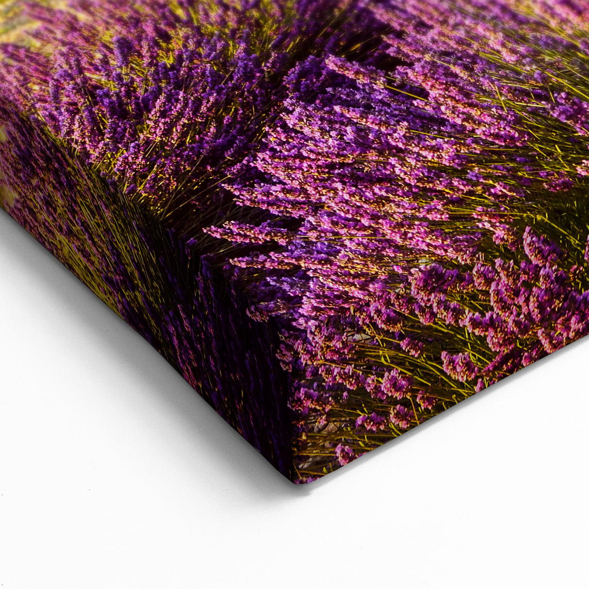 Countryside Wall Art - Lavender Field with Tree Landscape Canvas