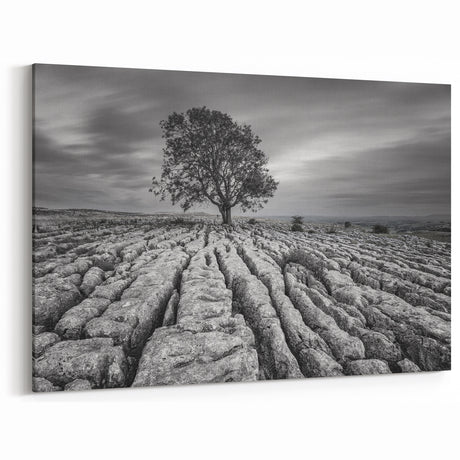 Black and White Art - Minimalist Countryside Landscape with Solitary Tree