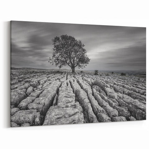 Black and White Art - Minimalist Countryside Landscape with Solitary Tree