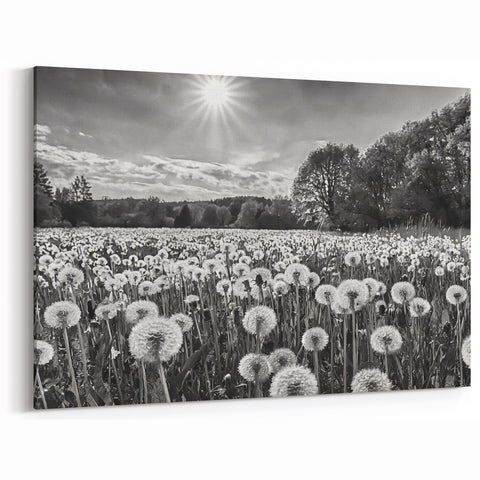 Black and White Countryside Art - Dandelion Field in Sunlight