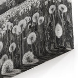 Black and White Countryside Art - Dandelion Field in Sunlight