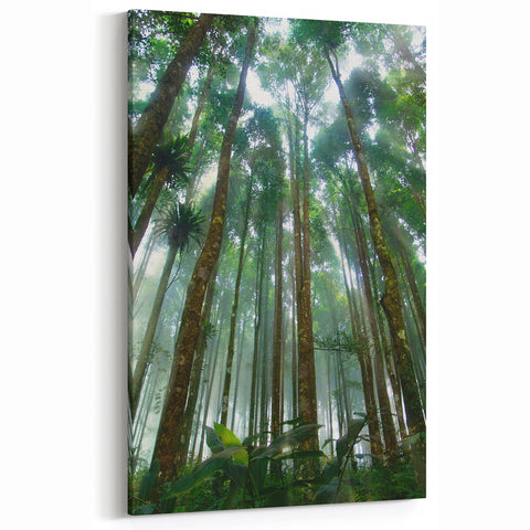 Towering Rainforest Trees Art - Majestic Jungle Landscape Print - Nature Decor