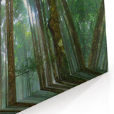 Towering Rainforest Trees Art - Majestic Jungle Landscape Print - Nature Decor