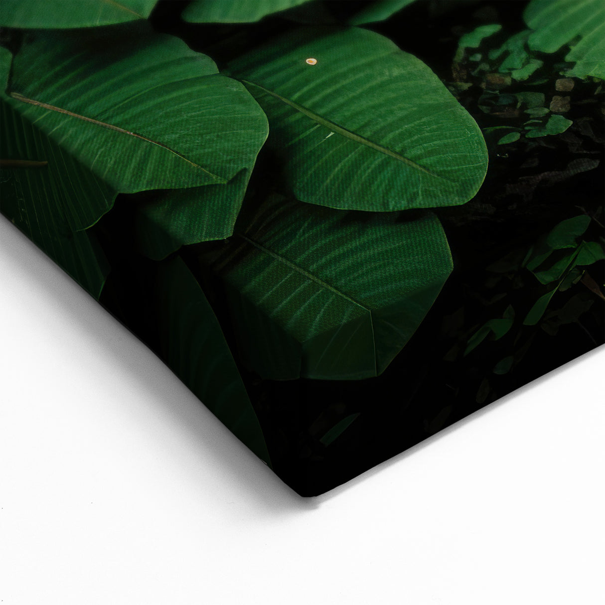 Mystical Rainforest Path - Serene Greenery Canvas Wall Art